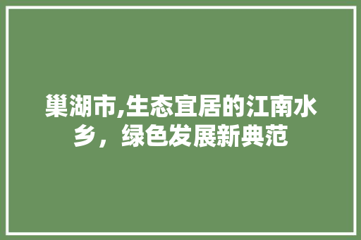 巢湖市,生态宜居的江南水乡，绿色发展新典范 巢湖市,生态宜居的江南水乡，绿色发展新典范 必应SEO