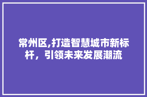 常州区,打造智慧城市新标杆，引领未来发展潮流 常州区,打造智慧城市新标杆，引领未来发展潮流 百度SEO
