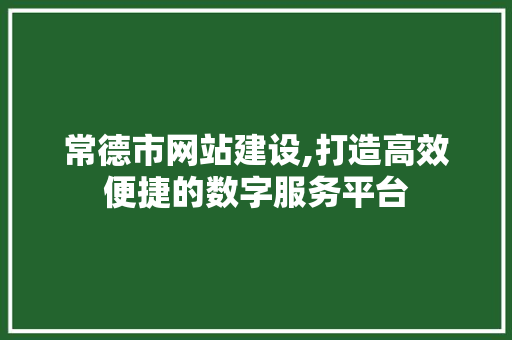 常德市网站建设,打造高效便捷的数字服务平台