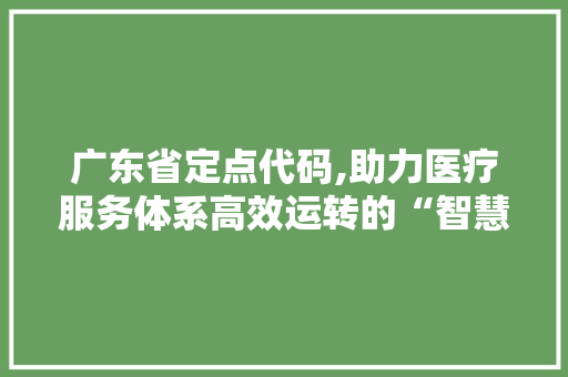广东省定点代码,助力医疗服务体系高效运转的“智慧钥匙” 广东省定点代码,助力医疗服务体系高效运转的“智慧钥匙” 网站建设公司