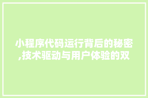 小程序代码运行背后的秘密,技术驱动与用户体验的双赢之路