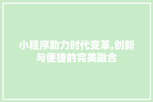 小程序助力时代变革,创新与便捷的完美融合 小程序助力时代变革,创新与便捷的完美融合 百度SEO