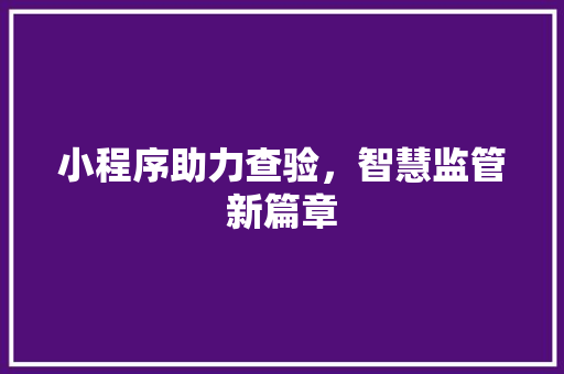 小程序助力查验，智慧监管新篇章 小程序助力查验，智慧监管新篇章 网站建设公司