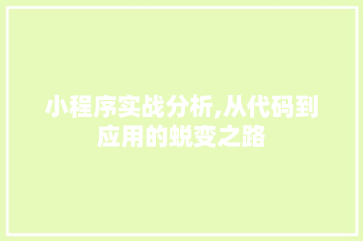 小程序实战分析,从代码到应用的蜕变之路 网站建设公司 小程序实战分析,从代码到应用的蜕变之路 小程序实战分析,从代码到应用的蜕变之路 网站建设公司