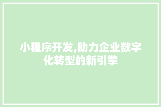 小程序开发,助力企业数字化转型的新引擎 小程序开发,助力企业数字化转型的新引擎 SEO关键词