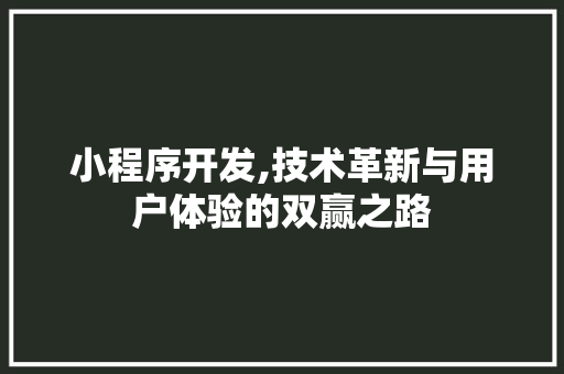 小程序开发,技术革新与用户体验的双赢之路