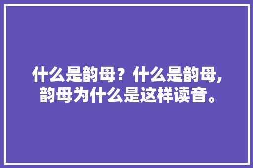 什么是韵母？什么是韵母,韵母为什么是这样读音。 什么是韵母？什么是韵母,韵母为什么是这样读音。 必应SEO
