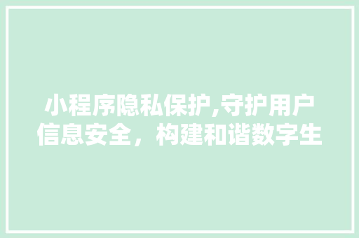 小程序隐私保护,守护用户信息安全，构建和谐数字生态