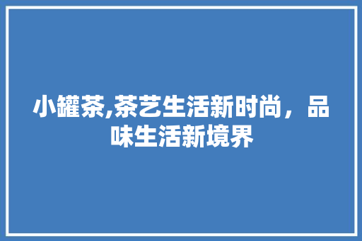 小罐茶,茶艺生活新时尚，品味生活新境界