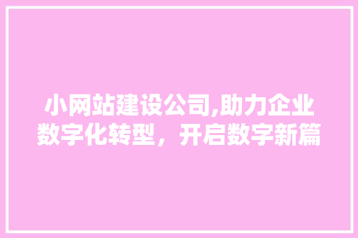 小网站建设公司,助力企业数字化转型，开启数字新篇章