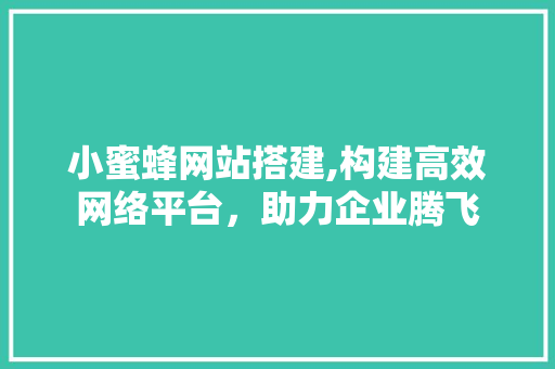 小蜜蜂网站搭建,构建高效网络平台，助力企业腾飞