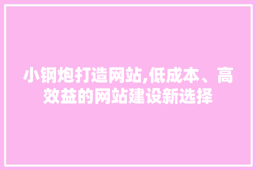小钢炮打造网站,低成本、高效益的网站建设新选择
