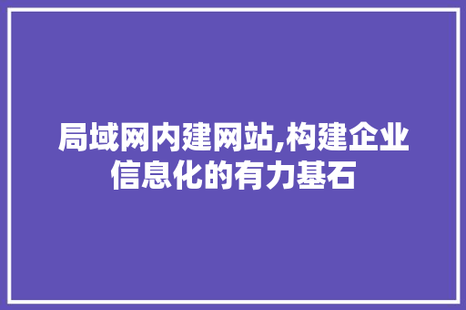 局域网内建网站,构建企业信息化的有力基石 局域网内建网站,构建企业信息化的有力基石 百度SEO