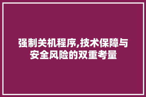 强制关机程序,技术保障与安全风险的双重考量 强制关机程序,技术保障与安全风险的双重考量 搜狗SEO