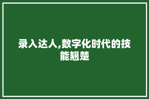 录入达人,数字化时代的技能翘楚 录入达人,数字化时代的技能翘楚 必应SEO