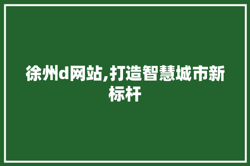 徐州d网站,打造智慧城市新标杆 徐州d网站,打造智慧城市新标杆 SEO关键词