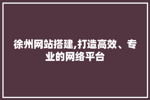 徐州网站搭建,打造高效、专业的网络平台 徐州网站搭建,打造高效、专业的网络平台 网站建设公司