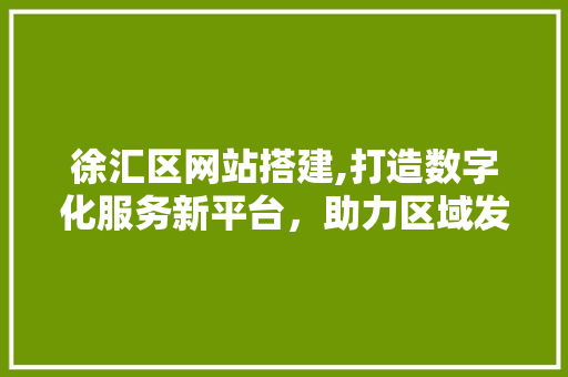 徐汇区网站搭建,打造数字化服务新平台，助力区域发展 徐汇区网站搭建,打造数字化服务新平台，助力区域发展 SEO关键词