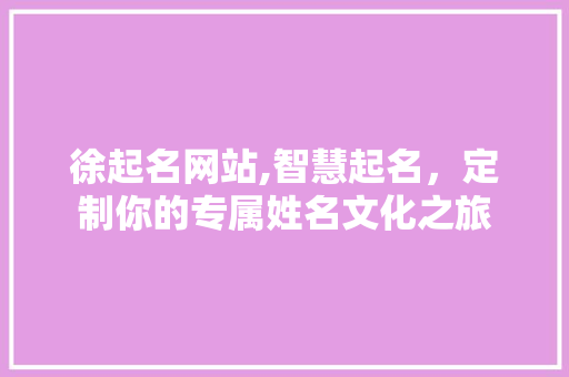 徐起名网站,智慧起名，定制你的专属姓名文化之旅 徐起名网站,智慧起名，定制你的专属姓名文化之旅 网站建设公司