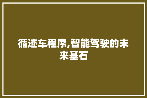 循迹车程序,智能驾驶的未来基石 网站建设公司 循迹车程序,智能驾驶的未来基石 循迹车程序,智能驾驶的未来基石 网站建设公司
