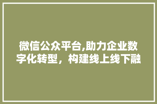 微信公众平台,助力企业数字化转型，构建线上线下融合新生态