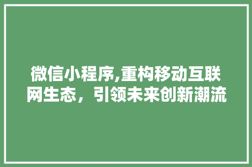 微信小程序,重构移动互联网生态，引领未来创新潮流 微信小程序,重构移动互联网生态，引领未来创新潮流 SEO关键词