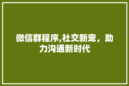 微信群程序,社交新宠，助力沟通新时代 微信群程序,社交新宠，助力沟通新时代 神马SEO