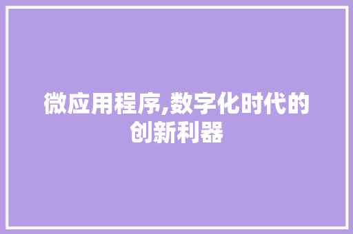 微应用程序,数字化时代的创新利器 微应用程序,数字化时代的创新利器 必应SEO