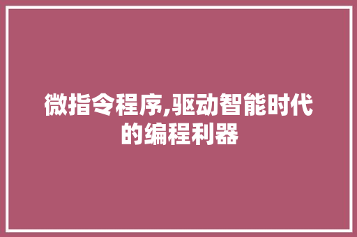 微指令程序,驱动智能时代的编程利器 微指令程序,驱动智能时代的编程利器 神马SEO