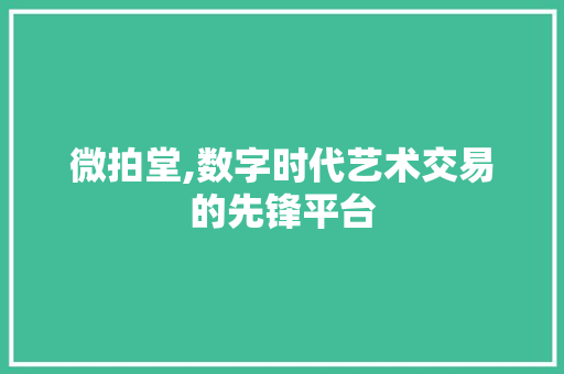 微拍堂,数字时代艺术交易的先锋平台 微拍堂,数字时代艺术交易的先锋平台 神马SEO