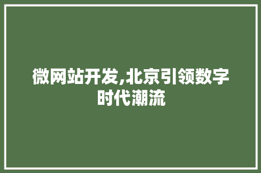 微网站开发,北京引领数字时代潮流 微网站开发,北京引领数字时代潮流 网站建设公司