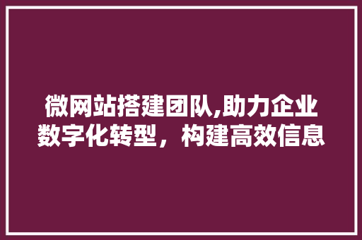 微网站搭建团队,助力企业数字化转型，构建高效信息传播新平台 微网站搭建团队,助力企业数字化转型，构建高效信息传播新平台 SEO关键词
