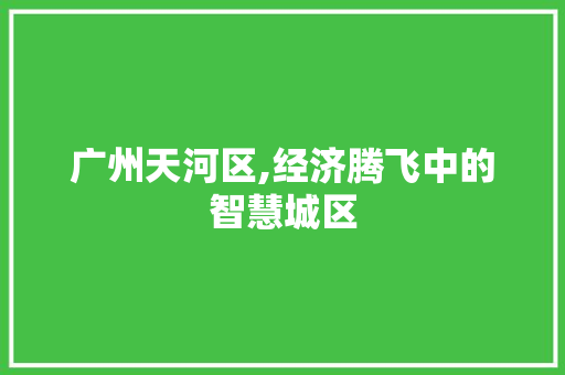 广州天河区,经济腾飞中的智慧城区 广州天河区,经济腾飞中的智慧城区 搜狗SEO