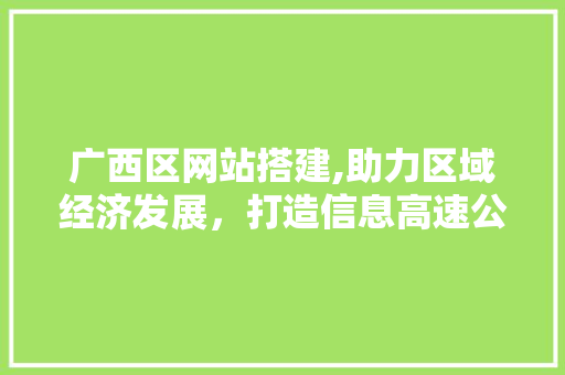 广西区网站搭建,助力区域经济发展，打造信息高速公路 广西区网站搭建,助力区域经济发展，打造信息高速公路 百度SEO