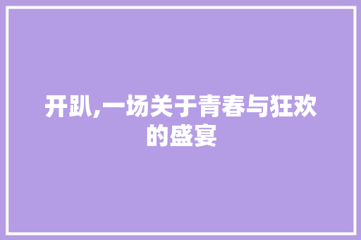 开趴,一场关于青春与狂欢的盛宴 开趴,一场关于青春与狂欢的盛宴 网站建设公司