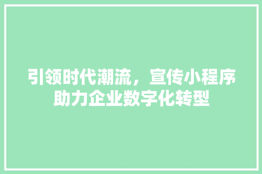 引领时代潮流，宣传小程序助力企业数字化转型 引领时代潮流，宣传小程序助力企业数字化转型 SEO关键词