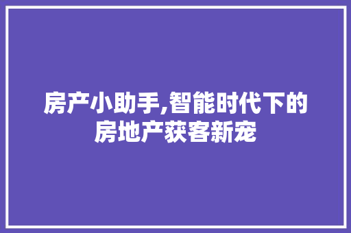房产小助手,智能时代下的房地产获客新宠 房产小助手,智能时代下的房地产获客新宠 百度SEO
