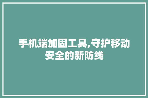 手机端加固工具,守护移动安全的新防线 手机端加固工具,守护移动安全的新防线 SEO关键词