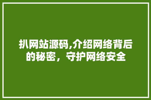 扒网站源码,介绍网络背后的秘密，守护网络安全 扒网站源码,介绍网络背后的秘密，守护网络安全 神马SEO