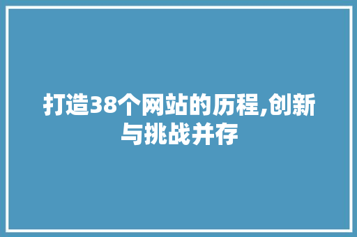 打造38个网站的历程,创新与挑战并存 打造38个网站的历程,创新与挑战并存 搜狗SEO