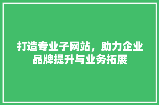 打造专业子网站，助力企业品牌提升与业务拓展 打造专业子网站，助力企业品牌提升与业务拓展 百度SEO