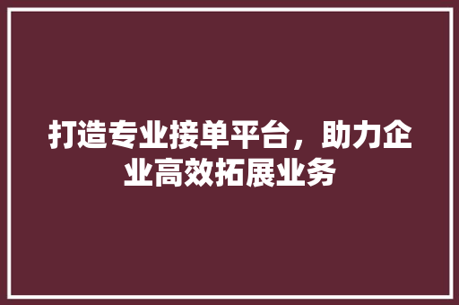 打造专业接单平台，助力企业高效拓展业务 打造专业接单平台，助力企业高效拓展业务 必应SEO