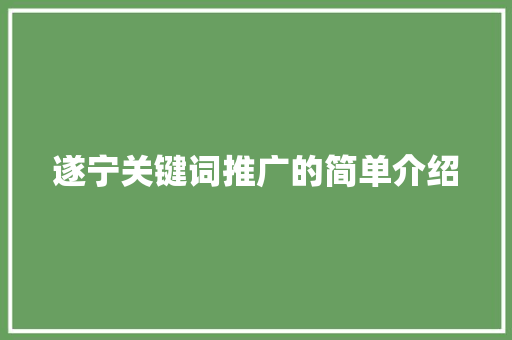 遂宁关键词推广的简单介绍 遂宁关键词推广的简单介绍 SEO关键词