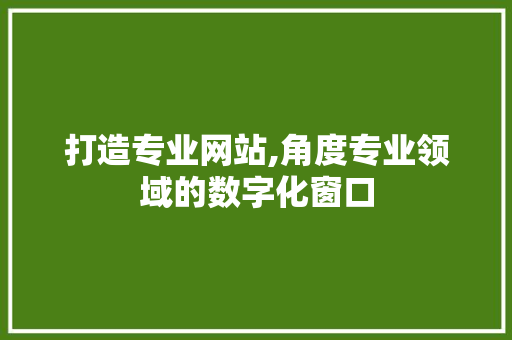 打造专业网站,角度专业领域的数字化窗口 打造专业网站,角度专业领域的数字化窗口 必应SEO