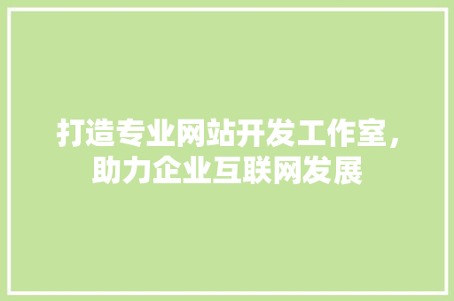 打造专业网站开发工作室，助力企业互联网发展 打造专业网站开发工作室，助力企业互联网发展 SEO关键词