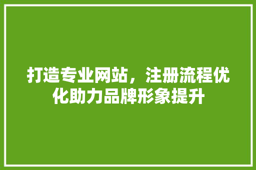 打造专业网站，注册流程优化助力品牌形象提升 打造专业网站，注册流程优化助力品牌形象提升 必应SEO