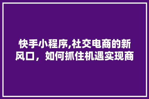 快手小程序,社交电商的新风口，如何抓住机遇实现商业价值 快手小程序,社交电商的新风口，如何抓住机遇实现商业价值 网站建设公司