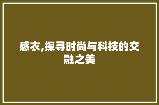 感衣,探寻时尚与科技的交融之美 感衣,探寻时尚与科技的交融之美 神马SEO