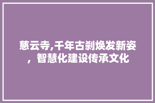 慈云寺,千年古刹焕发新姿，智慧化建设传承文化 慈云寺,千年古刹焕发新姿，智慧化建设传承文化 必应SEO