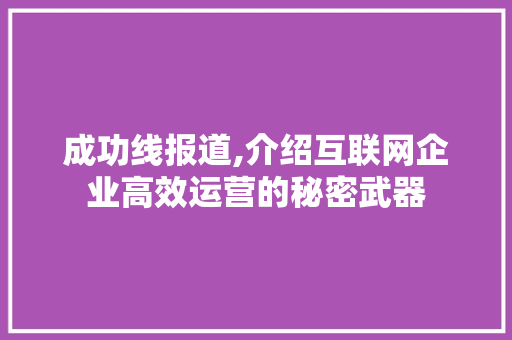 成功线报道,介绍互联网企业高效运营的秘密武器 成功线报道,介绍互联网企业高效运营的秘密武器 网站建设公司